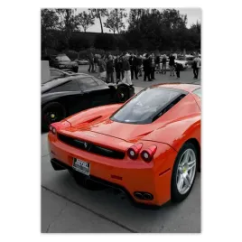 baner-50x70-ferrari-od-tylu