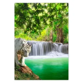 baner-70x100-tygrys-przy-wodospadzie