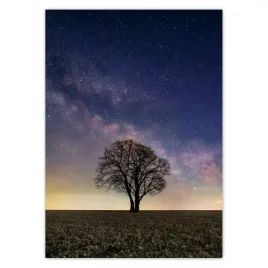 baner-50x70-samotne-drzewo-i-gwiazdy