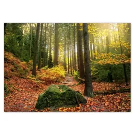 baner-100x70-pejzaz-krajobraz