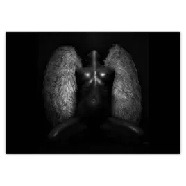 baner-100x70-akty-nagosc-milosc-foto