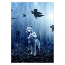 baner-70x100-dwa-wilki-w-niebieskim-lesie