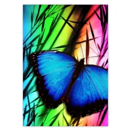 baner-70x100-niebieski-motylek
