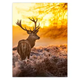 baner-100x135-jelen-o-wschodzie-slonca