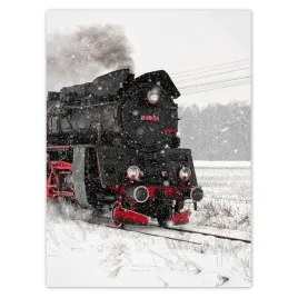 baner-100x135-lokomotywa-ol49-59-snieg