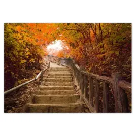 baner-100x70-jesienny-spacer-schody