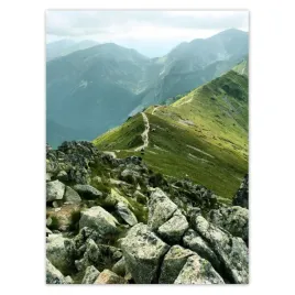 baner-100x135-szczyt-tatr