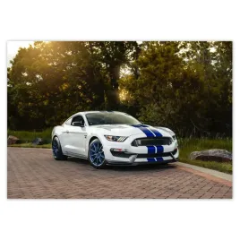 baner-100x70-ford-mustang-samochod-usa