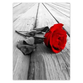 baner-100x135-czerwona-roza-na-deskach