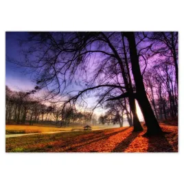 baner-100x70-park-w-wasowie