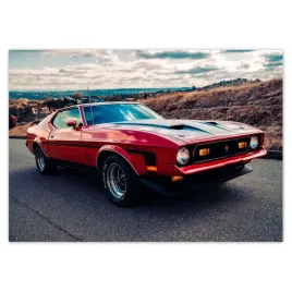 baner-100x70-mustang-mach-1-from-usa