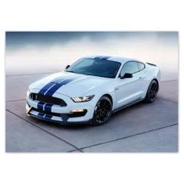 baner-100x70-ford-mustang-shelby