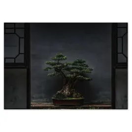 baner-100x70-bonsai-drzewko-kultura