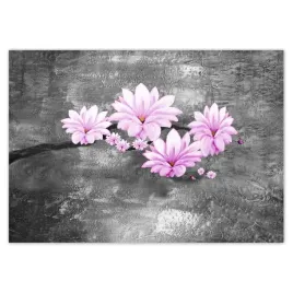 baner-100x70-kwiaty-magnolie