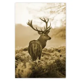 baner-125x185-jelen-w-lesie