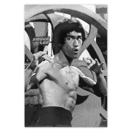 baner-125x185-bruce-lee-karateka