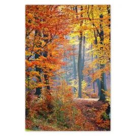 baner-125x185-zlota-jesien
