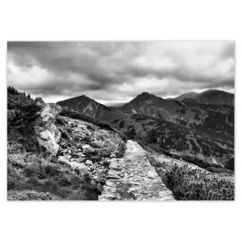 baner-100x70-tatry-polskie-gory-widok