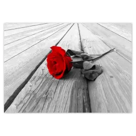 baner-100x70-czerwona-roza-na-drewnie