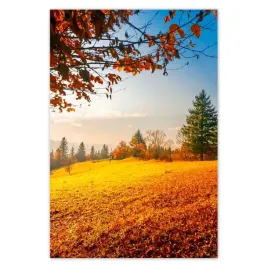 baner-125x185-jesienny-krajobraz