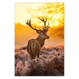 baner-135x200-jelen-o-wschodzie-slonca