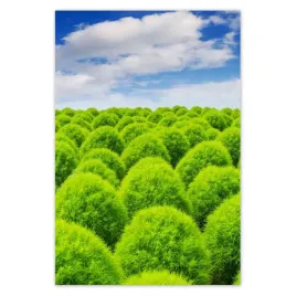 baner-135x200-zielone-spojrzenie-dolina