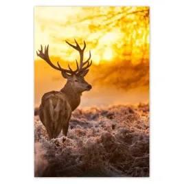 baner-135x200-jelen-o-wschodzie-slonca