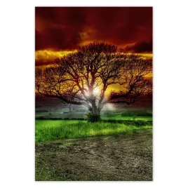 baner-135x200-magiczne-drzewo-krajobraz