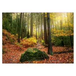 baner-70x50-pejzaz-krajobraz
