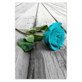 baner-135x200-niebieska-roza-na-deskach