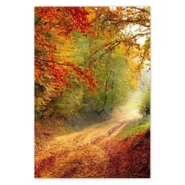 baner-135x200-droga-w-lesie-jesien