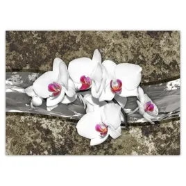 baner-70x50-biala-orchidea-marmurkowe-tlo