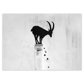 baner-70x50-kozica-banksy-gazela-gorska-brak-prywatnosci-mural