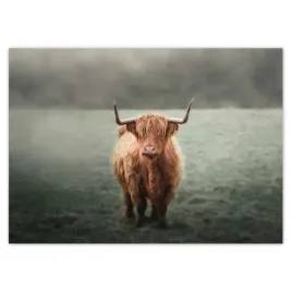 baner-70x50-jak-z-rogami-laka-gorska