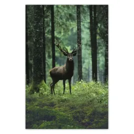 baner-80x120-piekny-jelen-wsrod-drzew