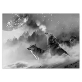 baner-70x50-wilk-wyjacy-do-ksiezyca