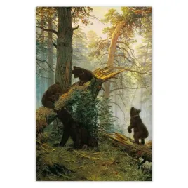 baner-80x120-poranek-w-sosnowym-lesie