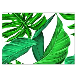 baner-70x50-soczysta-monstera-tropiki