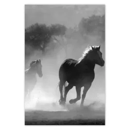 baner-80x120-galopujace-konie