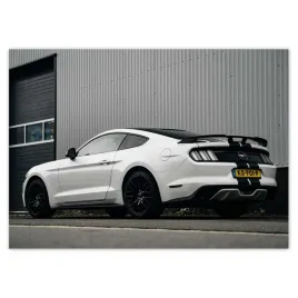 baner-70x50-ford-mustang-z-pasami