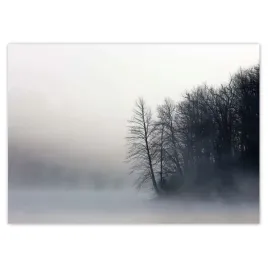 baner-70x50-mglisty-las-zima