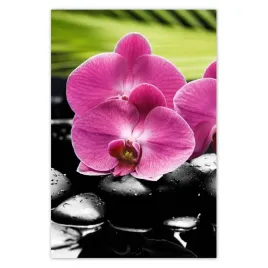 baner-80x120-spa-kamienie-i-oleandry