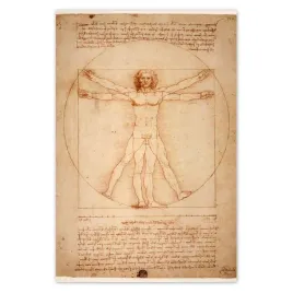 baner-80x120-czlowiek-witruwianski-da-vinci