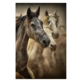 baner-80x120-dzikie-konie-koniki-galop