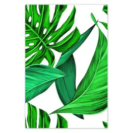 baner-80x120-soczysta-monstera-tropiki