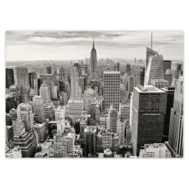 baner-70x50-manhattan-z-lotu-ptaka