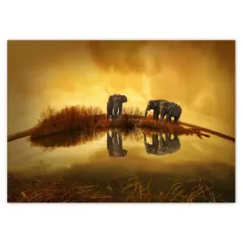 baner-70x50-slonie-przy-wodopoju