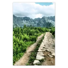 baner-80x120-kamienista-droga-tatry