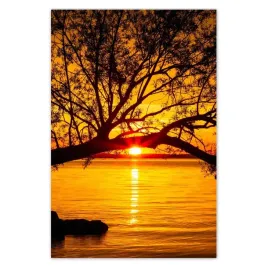 baner-80x120-plaza-drzewo-morze