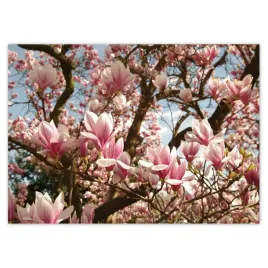 baner-70x50-magnolie-kwiaty-blekit